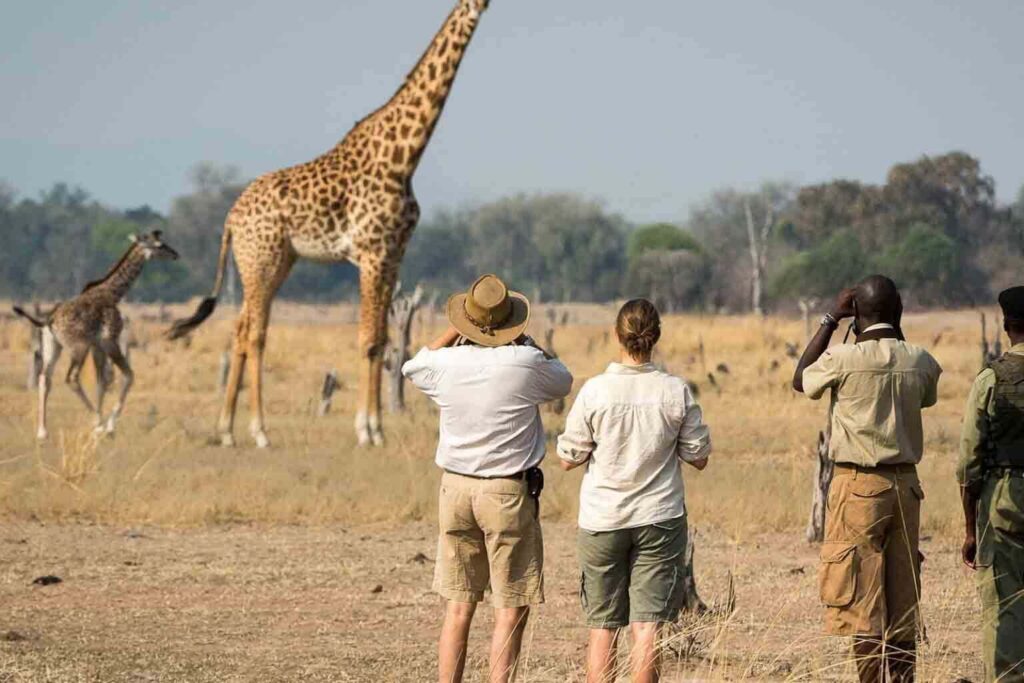Walking safari in Serengeti national park-Mado Tours Africa
