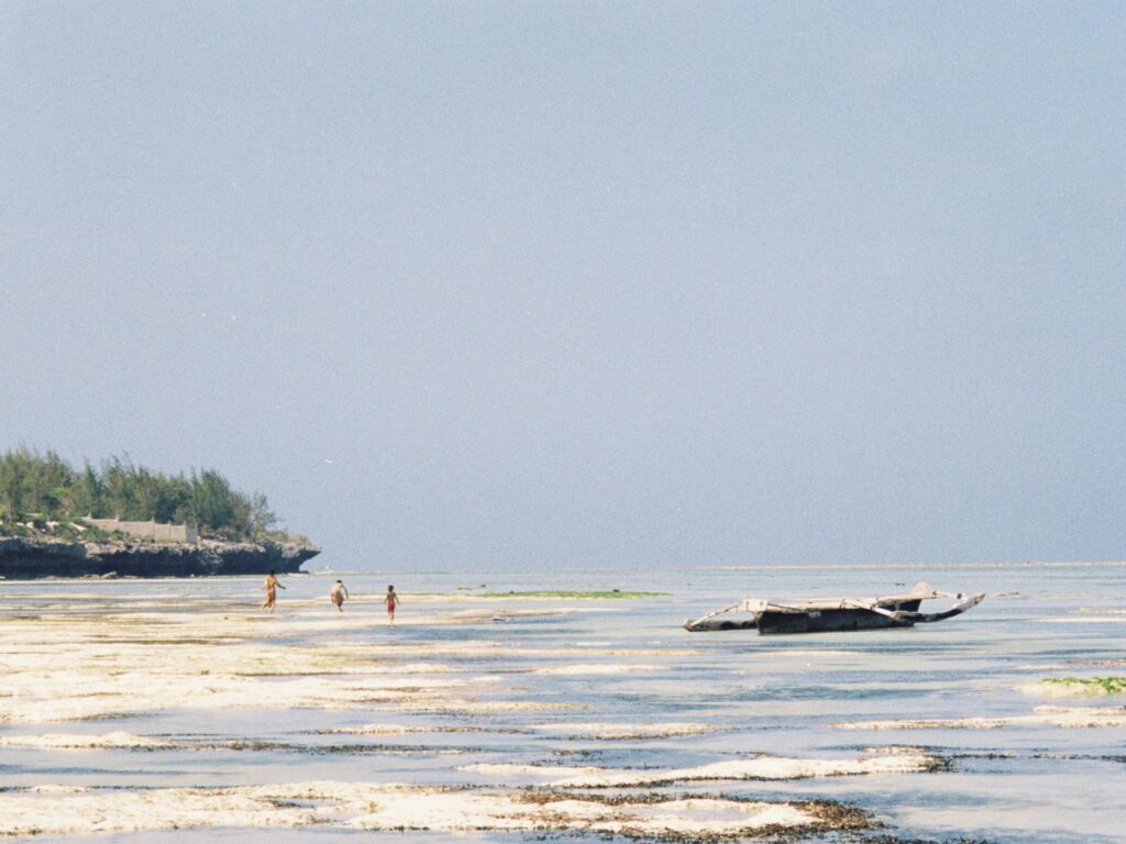 Beach view in zanzibar-Mado Tours Africa