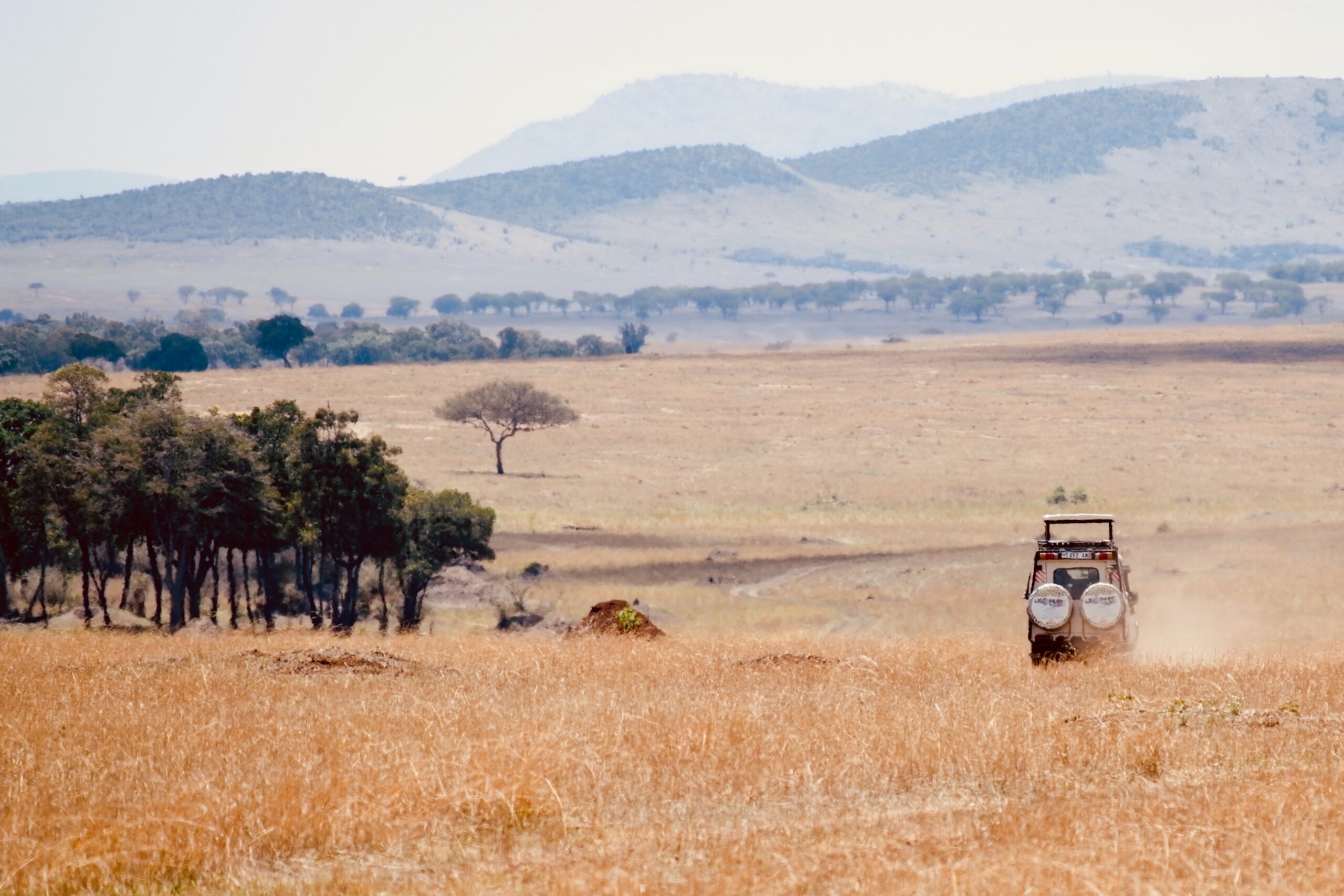 Game drive in Tarangire national park-Mado Tours Africa