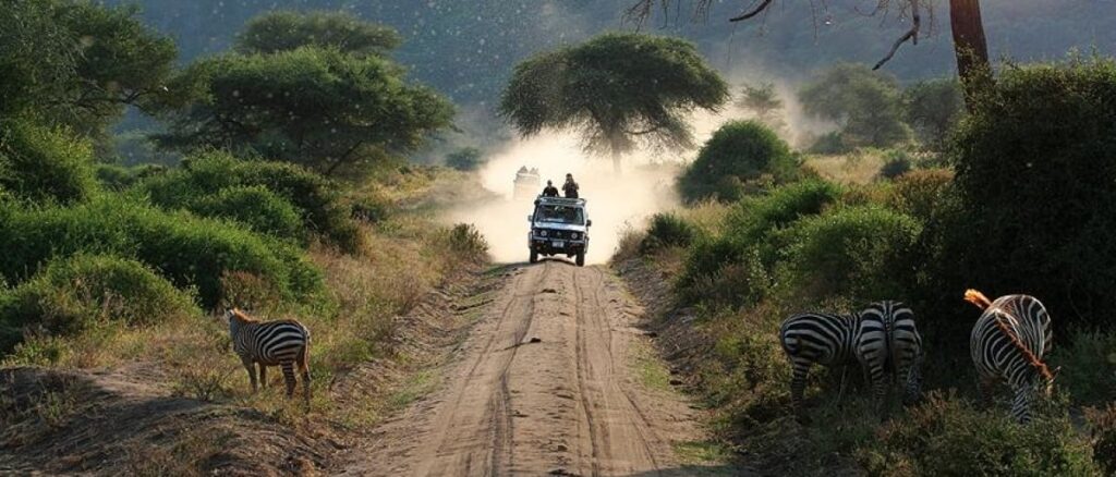 Game drive in Serengeti national park-Mado Tours Africa