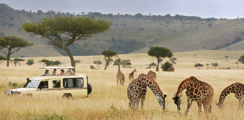 Game drive in Serengeti national park-Mado Tours Africa