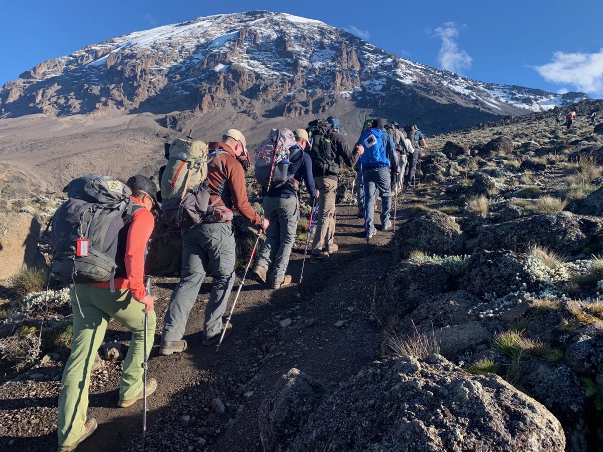 Group of trekkers hiking Kilimanjaro mountain-Mado Tours Africa