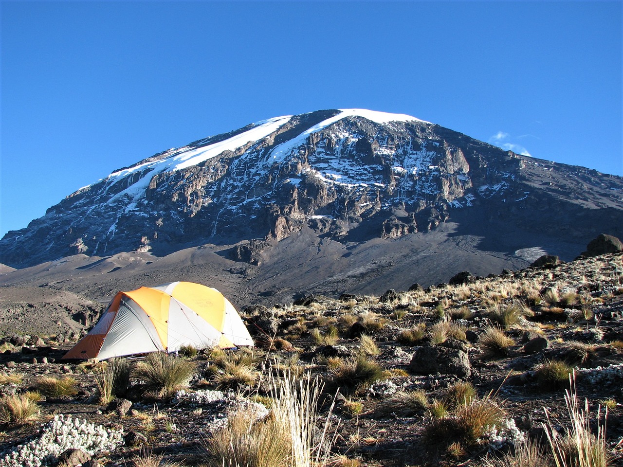 kilimanjaro trek - mado tours africa