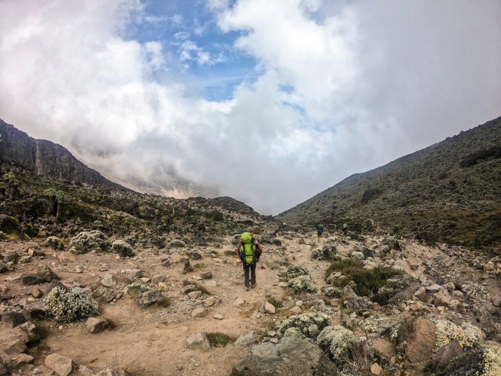 Hiking in Mount Kilimanjaro-Mado Tours Africa