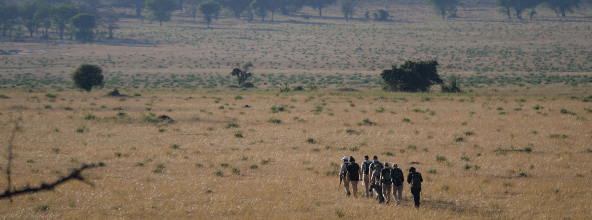 Walking safari in Manyara national park-Mado Tours Africa